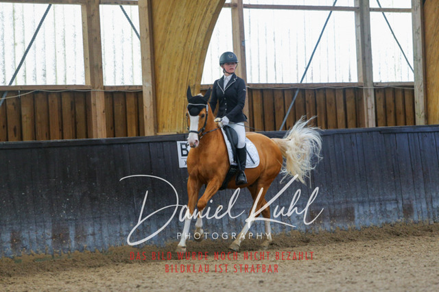 IMG_0563 | Turniersportfotografie; Pferdefotografie; Dressurfotografie