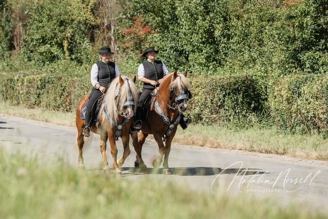 7V6A1981 | natalia-nirschl-photography