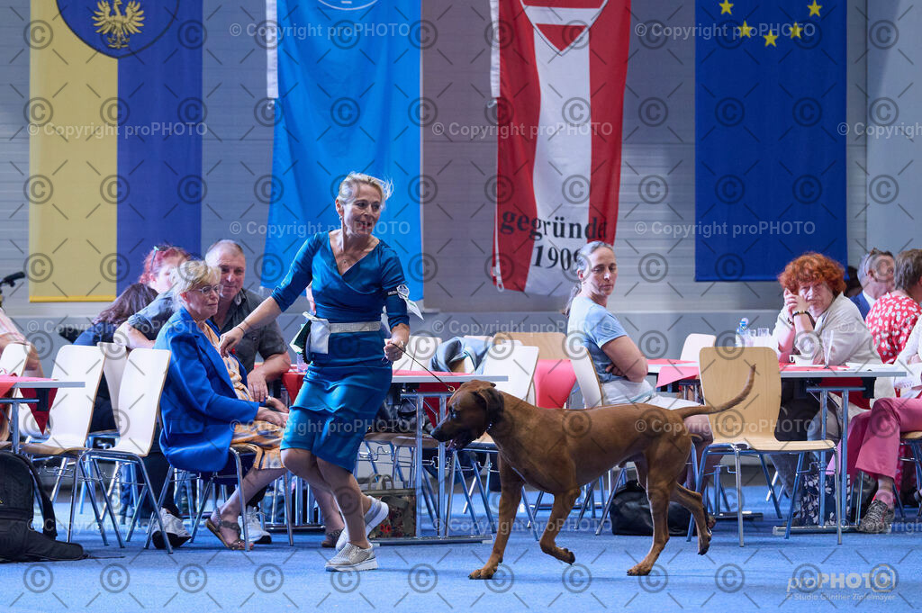 202406_ÖKV-IHA-Tulln24_DSC_3993 | proPHOTO - Realisiert mit Pictrs.com