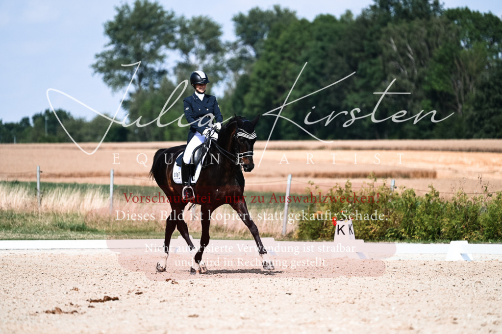 DSC_3300 | Pferde- und Turnierfotografie in Westsachsen. Pferdeportraits, Auftragszeichnungen und intuitive Kunst.
