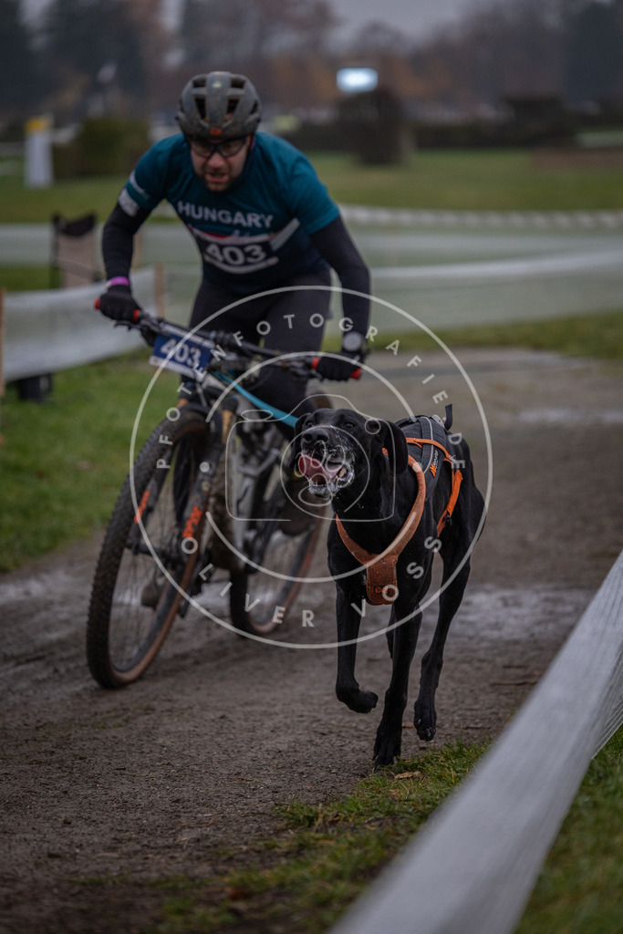 CaniXpix_0L8A1477 | Hundefotografie, Tierfotograf, Pfotenfotografie, Fotoshooting Hund, Hunde Portrait, Hundesport, Hundeportraits, Heideshooting, Hunde, Sportfotograf, Hundefotograf, Turnierhundsport, THS,  - Realisiert mit Pictrs.com