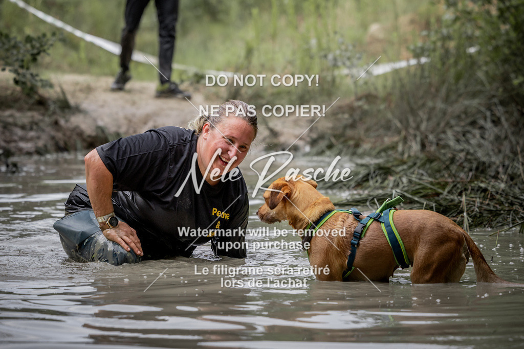 nelerasche_so0800-0930_121 | nelerasche