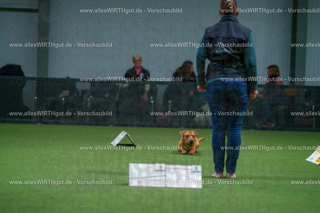 7R502364 | Professionelle Tierfotografie in Mönchengladbach von Daniel Wirth (allesWIRTHgut). Liebevolle & natürliche Bilder von Hunden & Katzen für unvergessliche Erinnerungen.