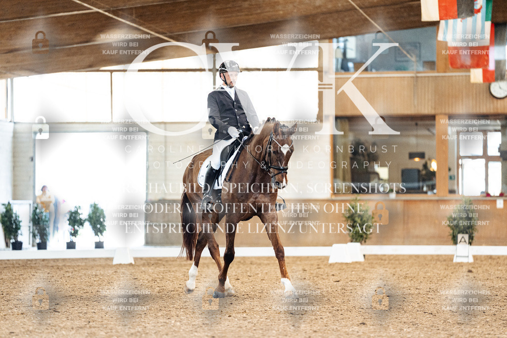 CK909355 | Turnierfotografie Pferdefotografie Trier Rheinland-Pfalz Pferdesport Reitsport Tierfotografie Sportfotografie Pferdevideo Pferdevideografie Equestrianvideography equestrianphotography  - Realisiert mit Pictrs.com