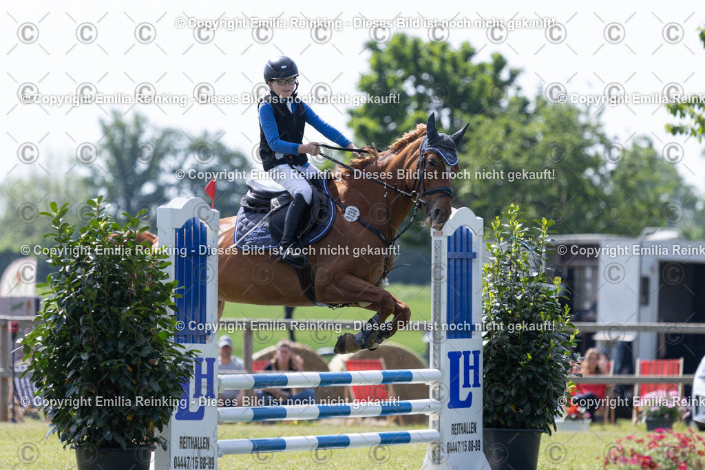 CL5A1982 | Emilia Reinking Fotografie - Realisiert mit Pictrs.com