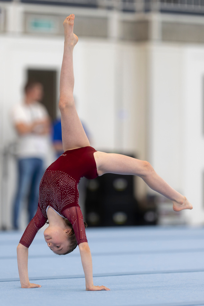 _DSC7013_DxO-1 | photoluigi