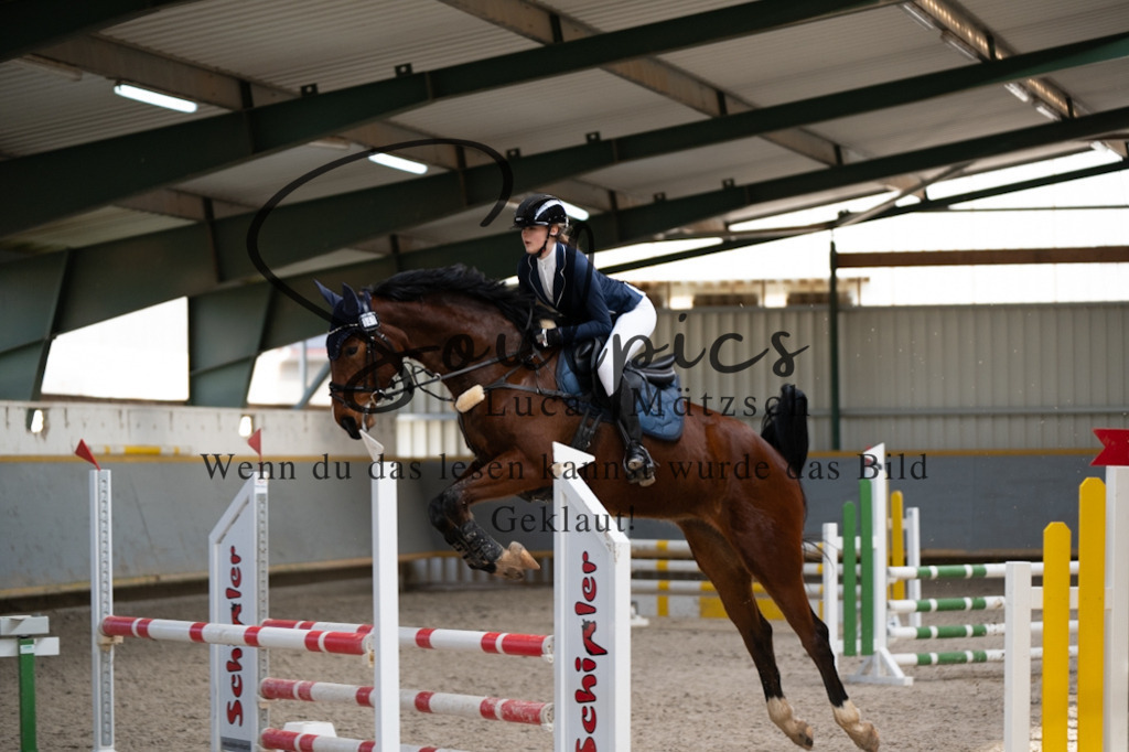 A7V02590 | Pferdefotograf