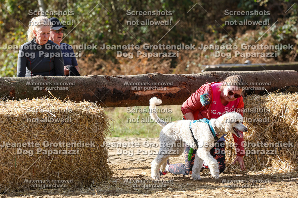 Dog Paparazzi - Strongdog 10-25-5630 | Dog Paparazzi Jeanette Grottendiek Fotografie & Videografie - Realisiert mit Pictrs.com