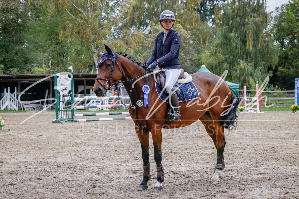 20251012-_3LI4165 | Tierfotografie Pferde, Hunde, Katzen, Haustiere.
Turnierfotografie Reitturniere, Reiten, Springreiten, Dressur in Hanau, dem Main-Kinzig-Kreis und dem Rhein-Main- Gebiet um Frankfurt