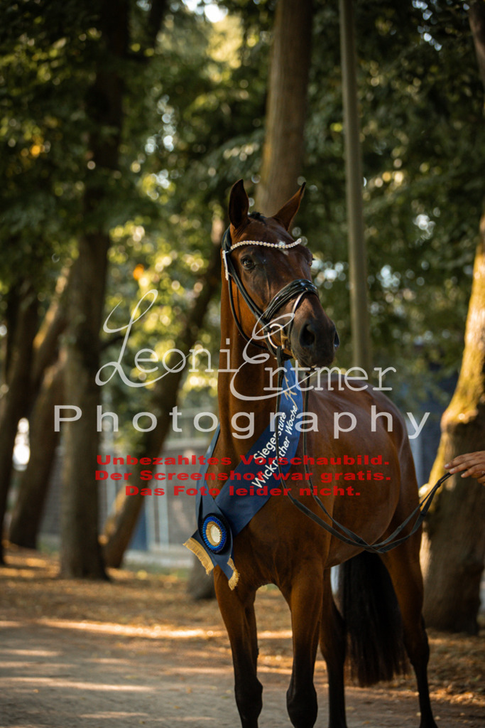 DoER00139 | Leoni Ertmer Photography - Realisiert mit Pictrs.com