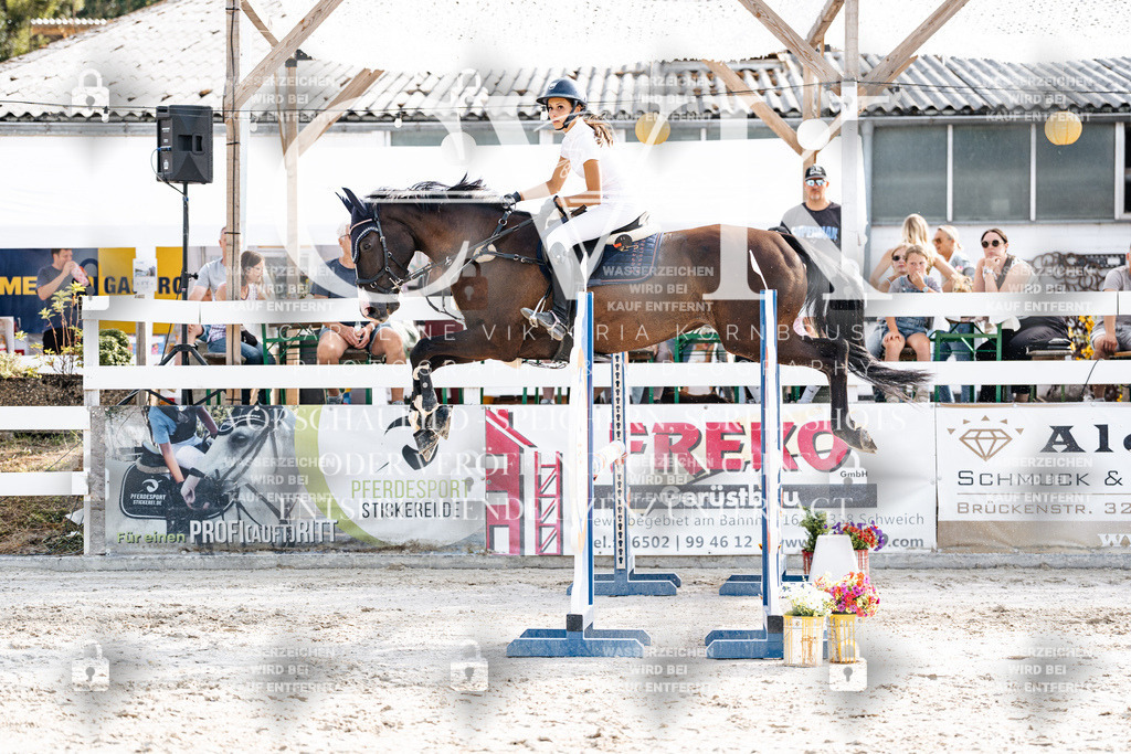 CK905933 | Turnierfotografie Pferdefotografie Trier Rheinland-Pfalz Pferdesport Reitsport Tierfotografie Sportfotografie Pferdevideo Pferdevideografie Equestrianvideography equestrianphotography  - Realisiert mit Pictrs.com