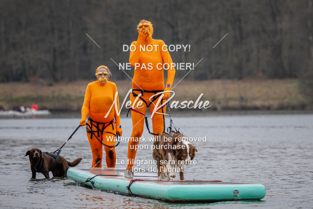 nelerasche_Hulsbeek_Sa1430-1515_242 | nelerasche