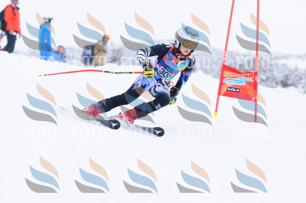 C3237 | holidayphoto