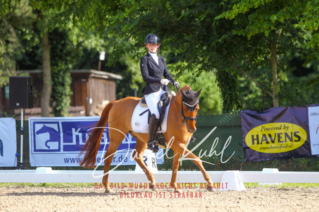 DKP41215 | Turniersportfotografie; Pferdefotografie; Dressurfotografie