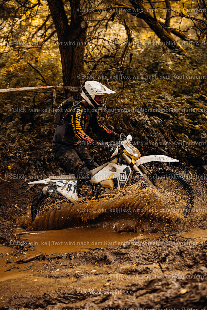 E68A6157 | blick_win_kel