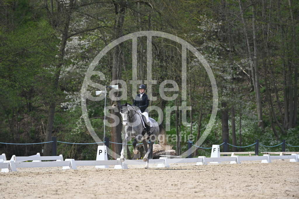 DSC_3588 | sattelsport - Realisiert mit Pictrs.com