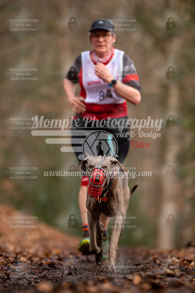 SPA_2023_DIM_CCL-206 | PayLife