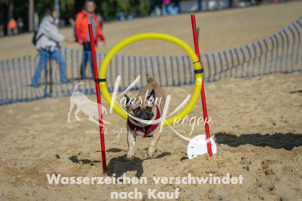 1115_ZZ90821 | kk-dogfotos