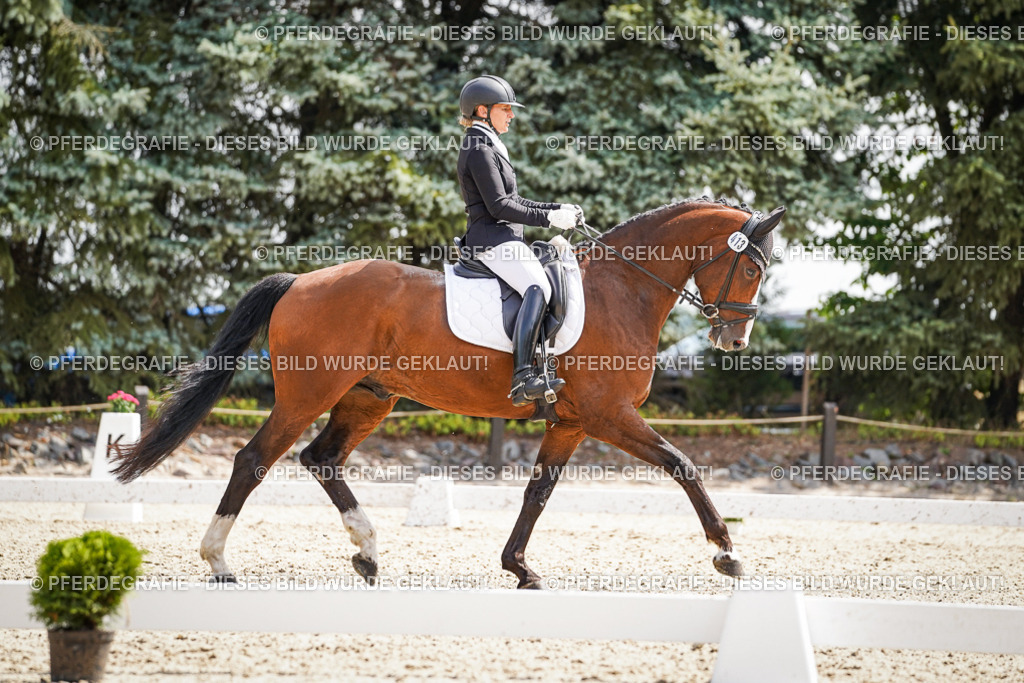 DSC09146 | Pferdegrafie