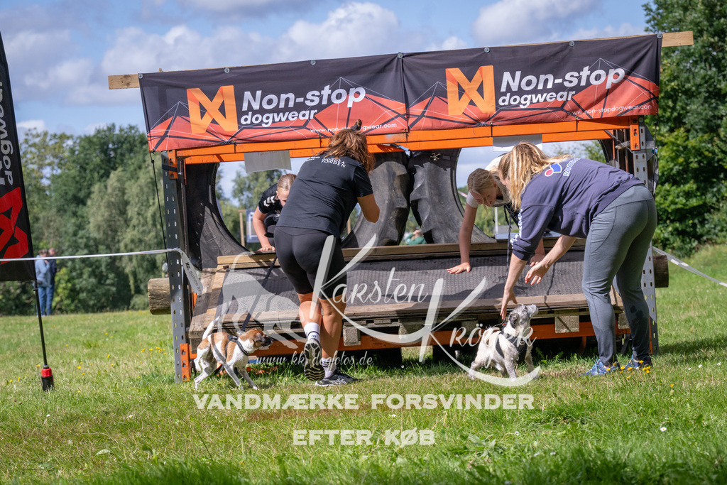 1541_ZZ93811 | kk-dogfotos