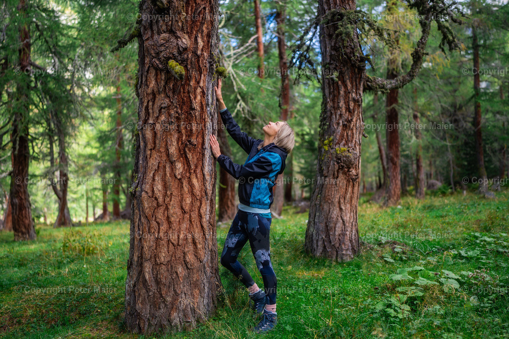 Dorfertal_Erlebnisraum_Wald_23_Peter_Maier-1019 | piet_flosse
