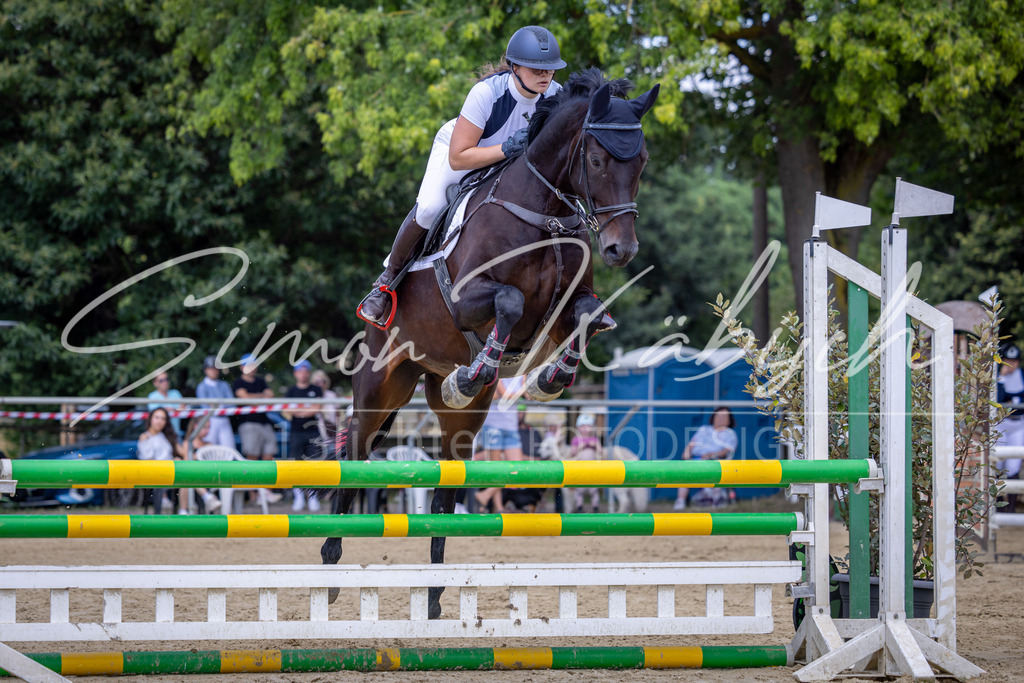 20260704-_3LI9350 | Tierfotografie Pferde, Hunde, Katzen, Haustiere.
Turnierfotografie Reitturniere, Reiten, Springreiten, Dressur in Hanau, dem Main-Kinzig-Kreis und dem Rhein-Main- Gebiet um Frankfurt