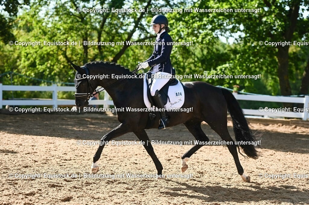 20230715_06_Dressurpferdeprfg. Kl.A_0249 | equistock