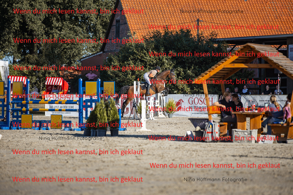 BK1A7785 | Turnierbilder Turnierfotos Nina Hüffmann Turnierfotografie Pferdefotografie Tierzeichnung Haustierzeichnung Pferdezeichnung Hundezeichnung Videograf  - Realisiert mit Pictrs.com