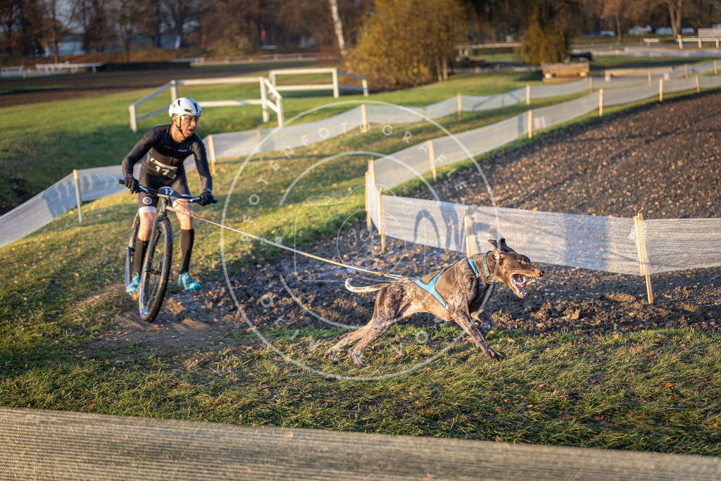 CaniXpix_DV3A9608 | Hundefotografie, Tierfotograf, Pfotenfotografie, Fotoshooting Hund, Hunde Portrait, Hundesport, Hundeportraits, Heideshooting, Hunde, Sportfotograf, Hundefotograf, Turnierhundsport, THS,  - Realisiert mit Pictrs.com
