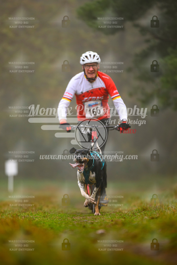 MompixPhotography_Bischwiller2025_Scooter-32 | mompixphotography