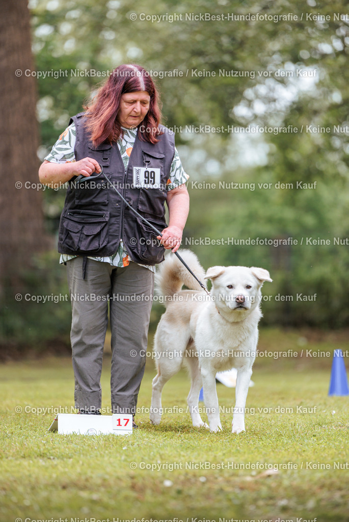 RO-Blumenthal-2026-Nickbest-Hundefotografie-5053 | Dein Hund! Dein Moment! Deine Erinnerungen! Hundefotografie in Bremen Blumenthal. Ich fange die besonderen Momente deines Vierbeiners ein – ob Indoor mit Blitzanlage oder in der freien Natur. Sicher dir dein Moment und dein Termin für eure Erinnerungen.