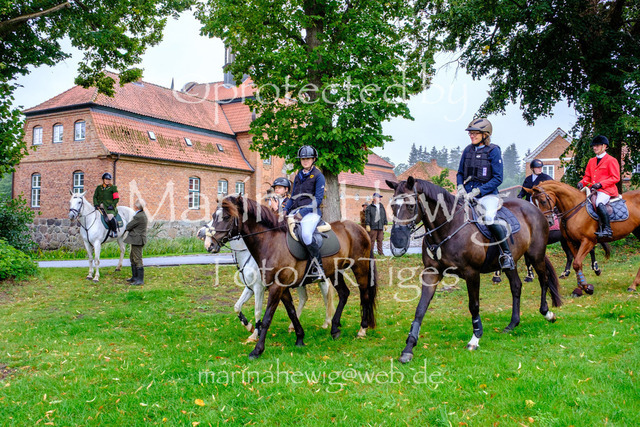 Jagd Kletkamp 26-9475_MarinaHewig | Fotografie, FotoArt, PferdesportArt, Pferdesportfotografie, Landschaftsfotografie, Reisefotografie, Reise, Pferde - Realisiert mit Pictrs.com