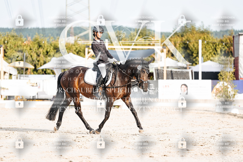 CK903821 | Turnierfotografie Pferdefotografie Trier Rheinland-Pfalz Pferdesport Reitsport Tierfotografie Sportfotografie Pferdevideo Pferdevideografie Equestrianvideography equestrianphotography  - Realisiert mit Pictrs.com