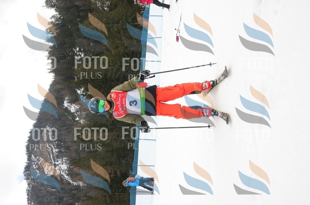 C1210 | holidayphoto