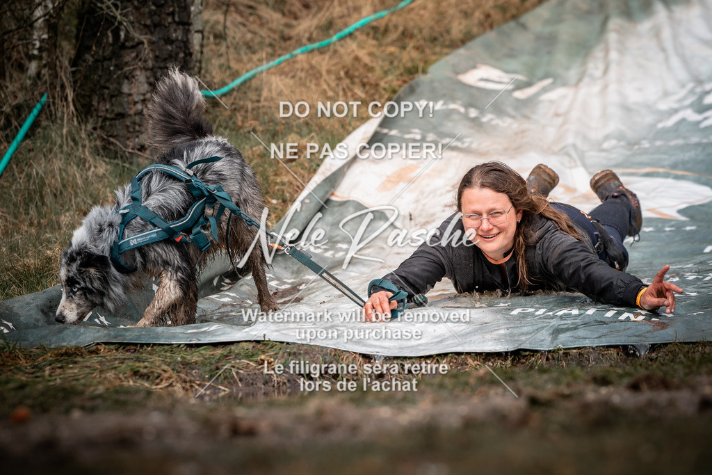 nelerasche_1030-1100_259 | nelerasche