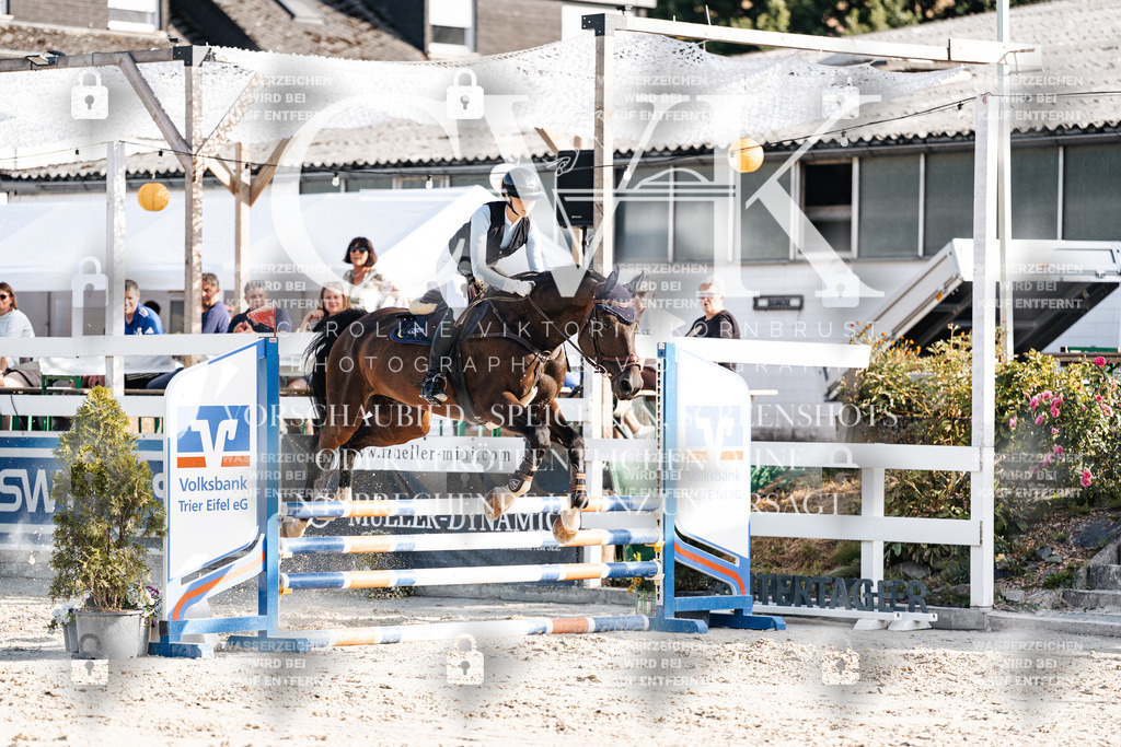CK909565 | Turnierfotografie Pferdefotografie Trier Rheinland-Pfalz Pferdesport Reitsport Tierfotografie Sportfotografie Pferdevideo Pferdevideografie Equestrianvideography equestrianphotography  - Realisiert mit Pictrs.com