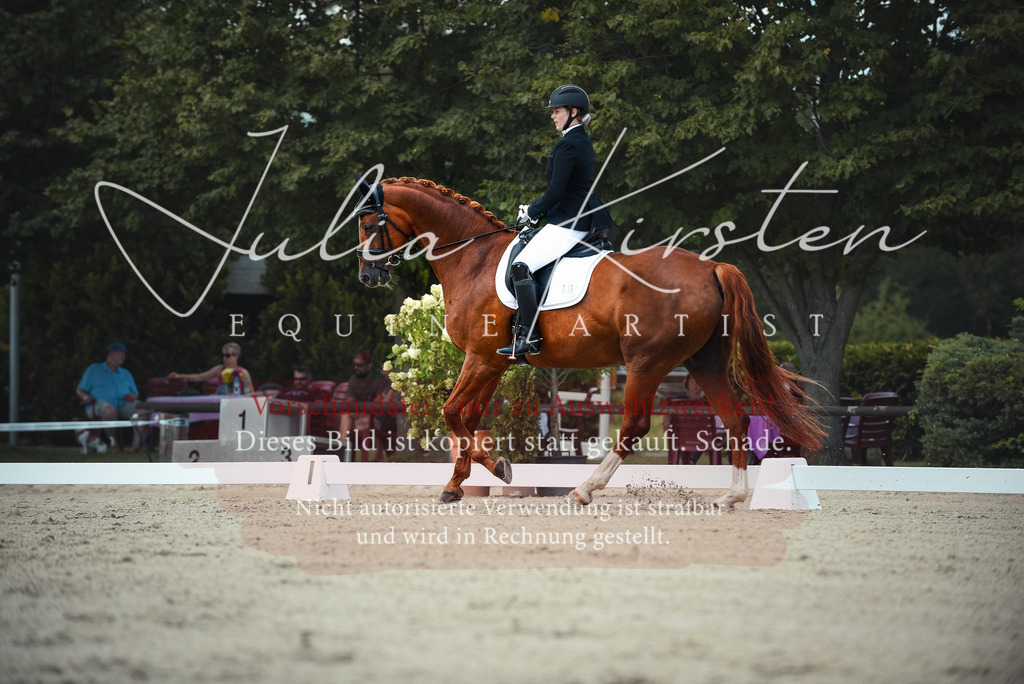 DSC_9127 | Pferde- und Turnierfotografie in Westsachsen. Pferdeportraits, Auftragszeichnungen und intuitive Kunst.