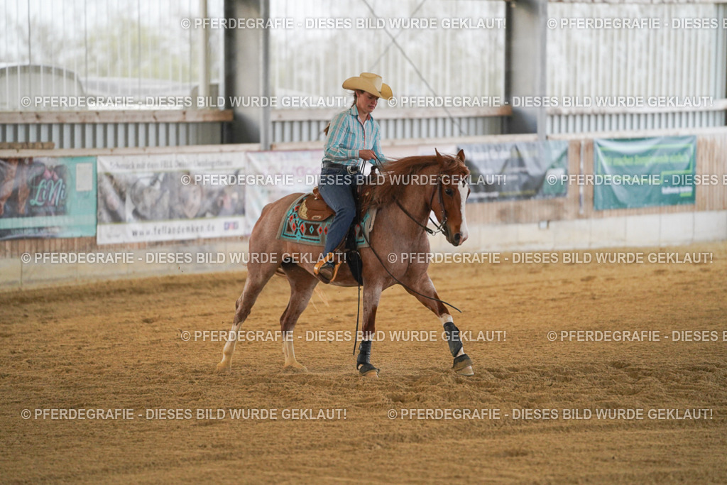 DSC08657 | Pferdegrafie