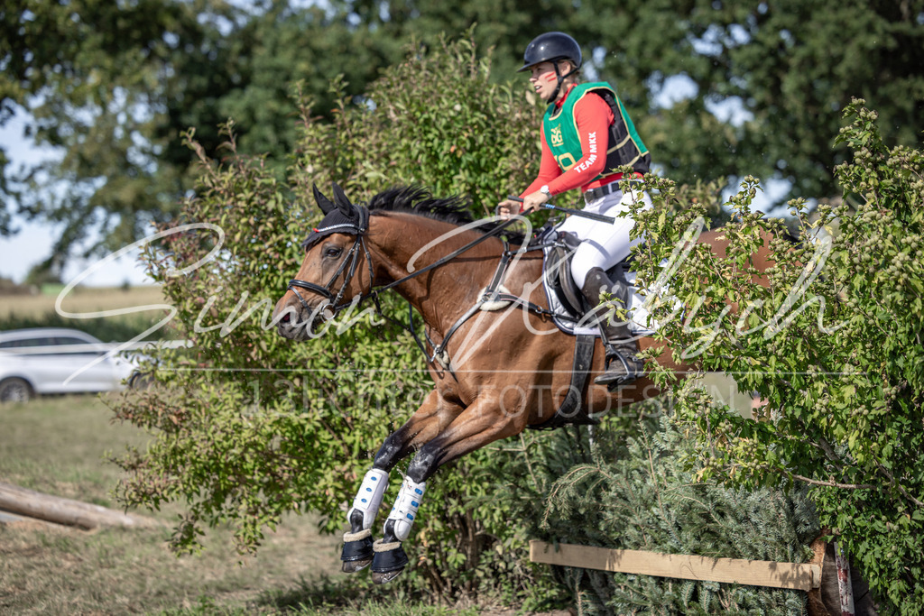 20250907-_3LI2063 | Tierfotografie Pferde, Hunde, Katzen, Haustiere.
Turnierfotografie Reitturniere, Reiten, Springreiten, Dressur in Hanau, dem Main-Kinzig-Kreis und dem Rhein-Main- Gebiet um Frankfurt