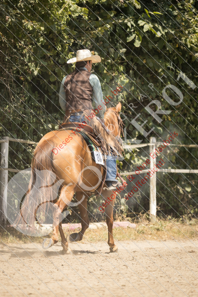 IMG_9925 | Sport-, Event- und Tierfotos in Profiqualität. Einfach auswählen, bestellen und herunterladen. Dein Moment – perfekt festgehalten.
