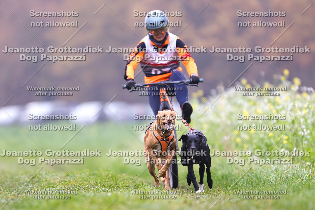 Dog Paparazzi - Visbeck 25 -64 | Dog Paparazzi Jeanette Grottendiek Fotografie & Videografie - Realisiert mit Pictrs.com