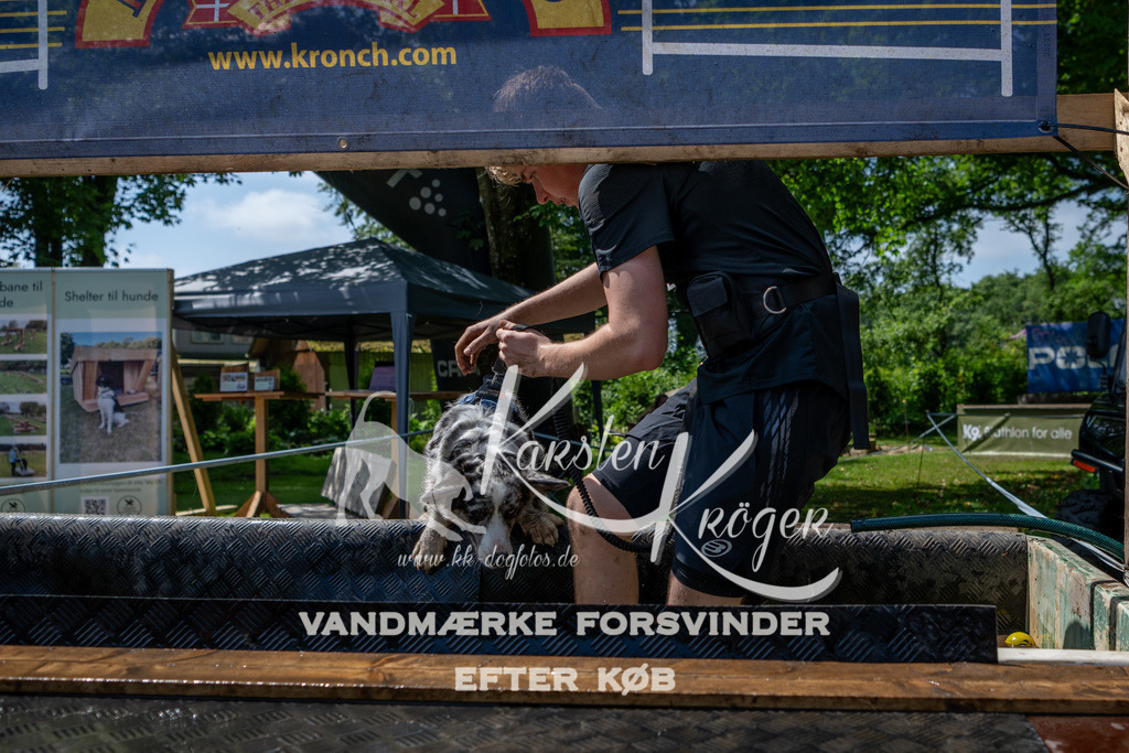 1202_ZZ90241 | kk-dogfotos