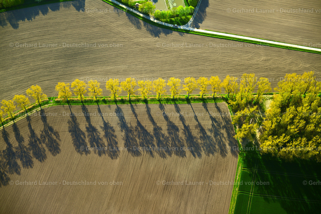 3600677 | WIESENBRONN 02.05.2016 Herbstliche verfärbte Vegetationsansicht Baumreihe an einer Landstraße an einem Feldrand in Wiesenbronn im Bundesland Bayern, Deutschland. // Autumnal discolored vegetation view row of trees on a country road on a field edge in Wiesenbronn in the state Bavaria, Germany. Foto: Gerhard Launer