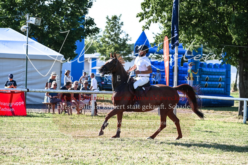 DSC_2757 | Pferde- und Turnierfotografie in Westsachsen. Pferdeportraits, Auftragszeichnungen und intuitive Kunst.
