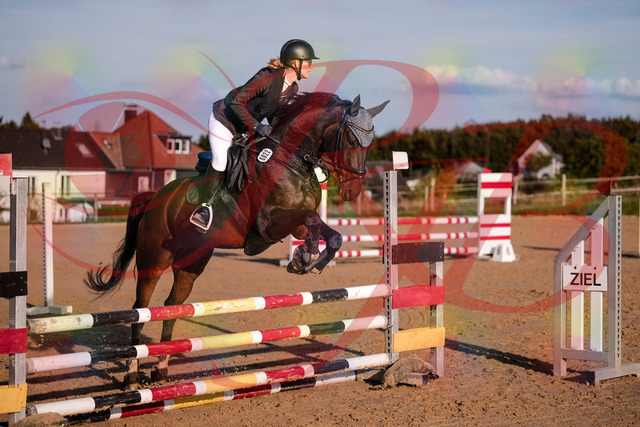 2026_10_03_Siefer-Hof_171843_Z81_16448584 | Professionelle Reitsport-, Turnier- und Eventfotografie von Robert Broda. Galerien mit ausgewählten und bearbeiteten Bildern direkt online ansehen und bestellen.