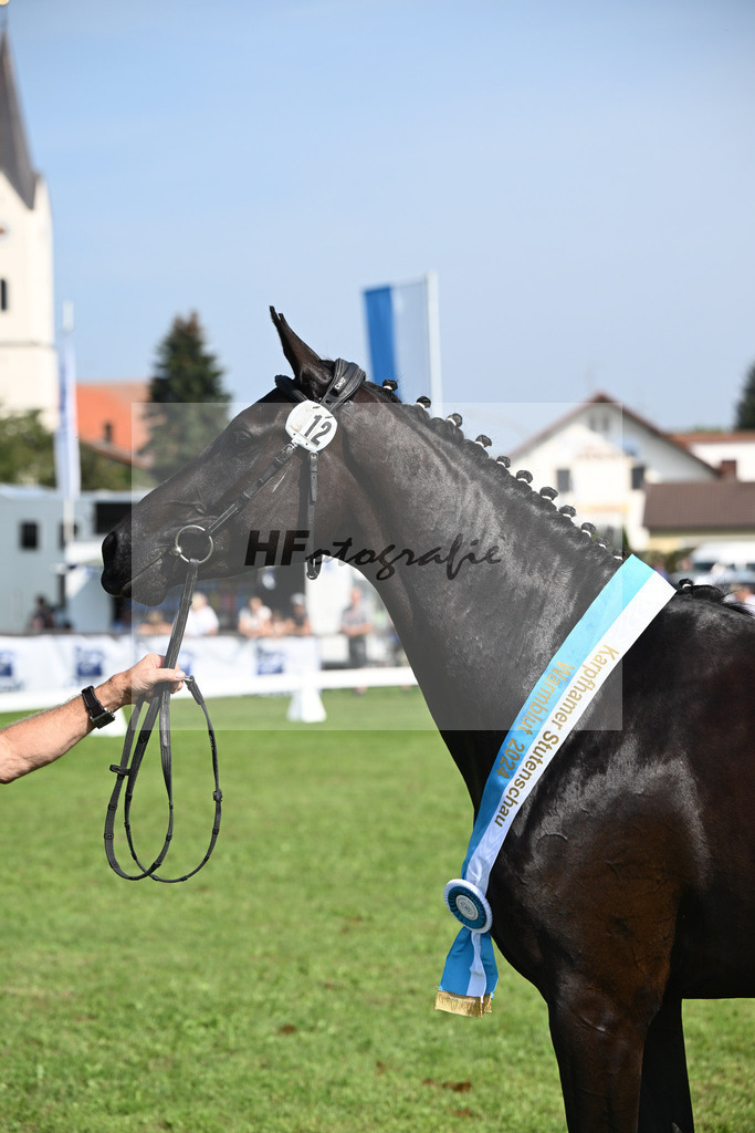 Kat-Nr. 12 Black Besinda H.S_14 | hf-fotografie - Realisiert mit Pictrs.com