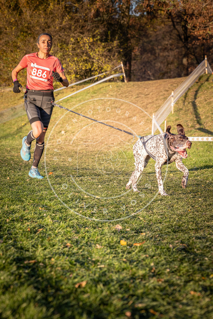 CaniXpix_0L8A1185 | Hundefotografie, Tierfotograf, Pfotenfotografie, Fotoshooting Hund, Hunde Portrait, Hundesport, Hundeportraits, Heideshooting, Hunde, Sportfotograf, Hundefotograf, Turnierhundsport, THS,  - Realisiert mit Pictrs.com