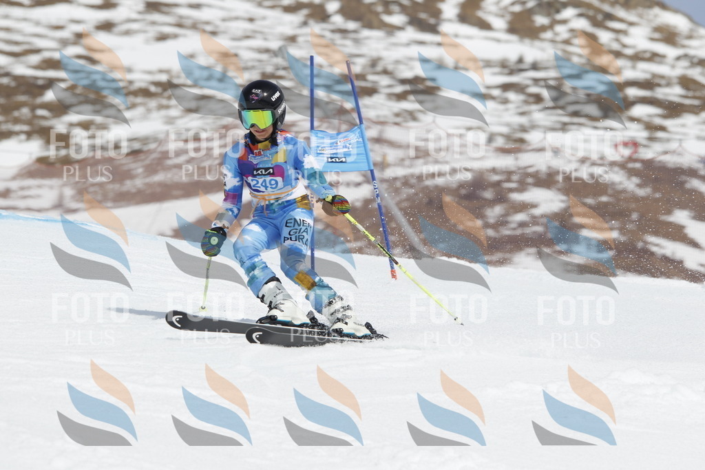 _U3G2866 | holidayphoto