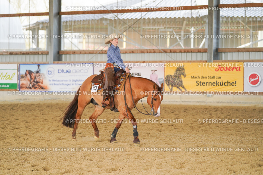 DSC01532 | Pferdegrafie