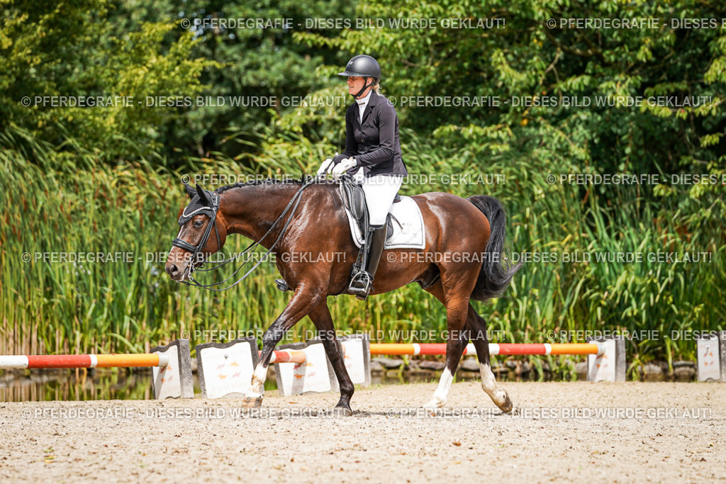 DSC03849 | Pferdegrafie